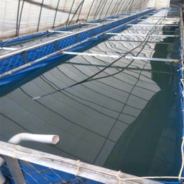 帆布蓄水池子 养殖水池布 定做大型布水池