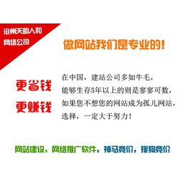 天助人和网络公司-东光县公司网站推广公司