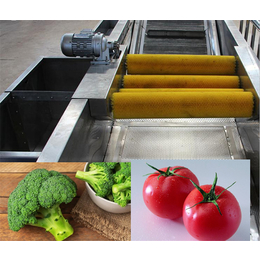 果蔬净菜生产线厂家-果蔬净菜生产线供应商-净菜生产线厂家