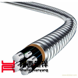 铝合金电缆-****铝合金电缆-远洋电线电缆(****商家)