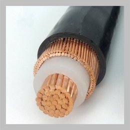 超高压电缆接头生产厂家联系方式-超高压电缆-长能电力电缆缩略图