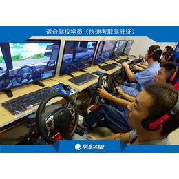 漳州小本创业项目 汽车模拟驾驶训练机