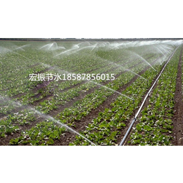 玉林灌溉,滴灌灌溉设备,南宁宏振灌溉公司