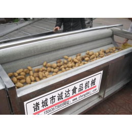诚达食品机械(图)-叶类蔬菜清洗机-绍兴蔬菜清洗机