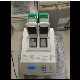 BioRad在中国-伯乐BioRadPCR仪售后-佛山PCR