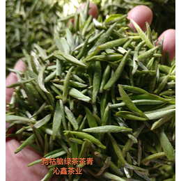 狗牯脑 沁元鑫绿茶 鲜香甘甜爽口 明前茶 江西特产 茶叶批发