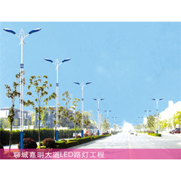 盐山6米太阳能路灯-6米太阳能路灯生产商-亿昌(推荐商家)