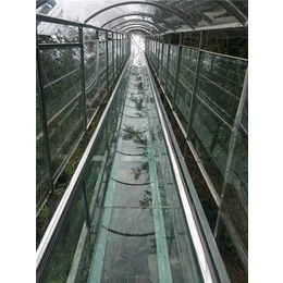 鄂州玻璃滑道-【大运旅游】-鄂州玻璃滑道安装电话