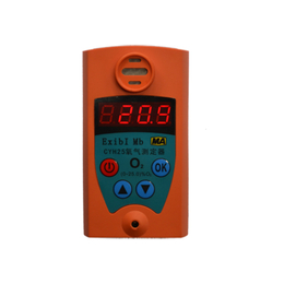 CYH25氧气测定器厂家CYH25氧气测定器价格
