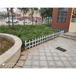 社区花坛隔离护栏 pvc塑钢草坪护栏 新农村园林绿化带围栏