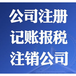 代理记账需要提供什么 承接全北京注册注销代理记账缩略图