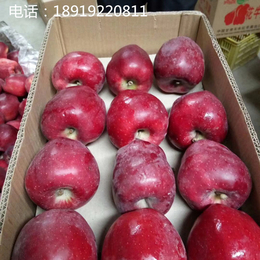 国产蛇果批发特价水果苹果天水*花牛苹果花牛苹果和蛇果的区别