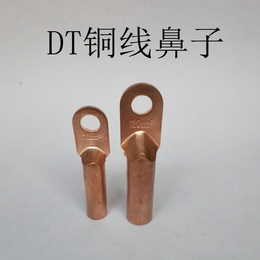DT-25铜线鼻子 闭口25平方线鼻子 紫铜堵油铜线耳接线鼻缩略图