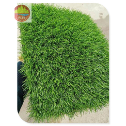 厂家****型2.5厘米绿色草坪网 屋顶塑料草坪 自由滑草草皮