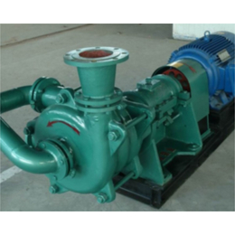 新楮泉泵业-珠海压滤机入料泵-压滤机入料泵型号