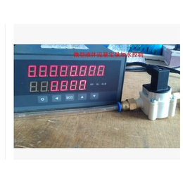 938-1820分体数显微型液体流量计传感器