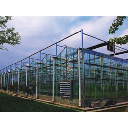 农业玻璃温室大棚厂产品报价-鑫凯农业价格透明