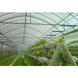 花卉温室建设-鹤壁花卉温室-富峰农业