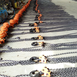 DHP型群吊电动葫芦生产厂家-欧力特起重