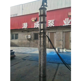 北京不锈钢深井泵现货