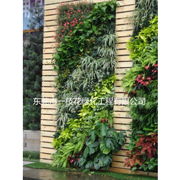 室外植物墙造林工程-肇庆室外植物墙-东莞市一枝花绿化工程