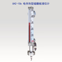 电加热型磁翻板液位计厂家-大明科技25年经验