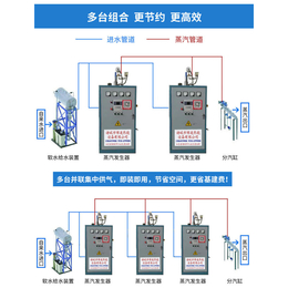 电蒸汽发生器单价-湛江电蒸汽发生器-诸城博通热能