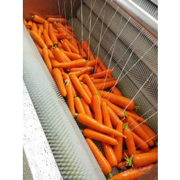 全自动蔬菜清洗机价格-蔬菜清洗机-诸城诚达食品机械(查看)