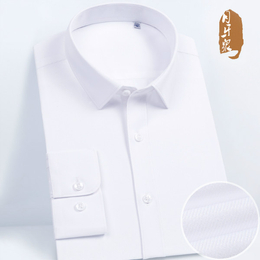 衬衫-庄臣服饰【承接定制】-竹纤维衬衫订购