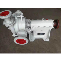 压滤机入料泵-灵谷水泵-50ZJE-II压滤机入料泵
