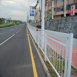 供应甲型护栏现货 深圳市政道路栏杆安装 港式护栏价格