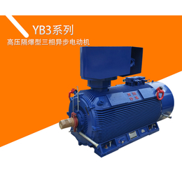 YB3系列高压隔爆型三相异步电动机缩略图