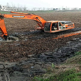 水陆挖掘机租赁-水陆挖掘机-刚刚水陆挖掘机(查看)