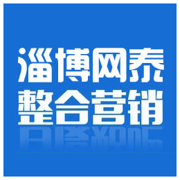 东营网络公司哪家好-东营网络公司-淄博网泰科技(查看)缩略图