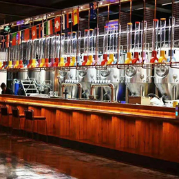 长期供应新型精酿啤酒设备500升啤酒屋酿酒设备缩略图