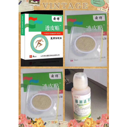 山东沙蒿子*贴加工代理沙蒿子*贴招商定制