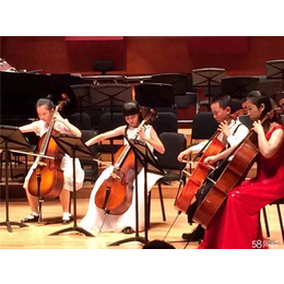 中学生学大提琴-南宁学大提琴-音妙艺术传播中心