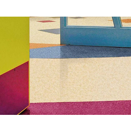 地板-伦飒地板(在线咨询)-邢台塑胶地板