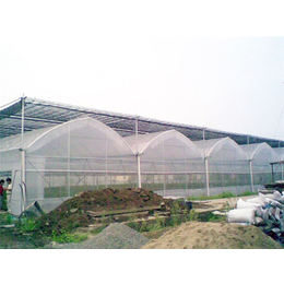 薄膜大棚-青州瀚洋农业-塑料薄膜大棚