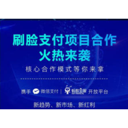 支付宝布局刷脸支付微信支付什么时候跟上