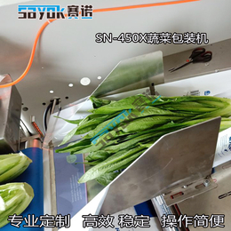厂家*全新自动托盒果蔬包装设备蔬菜包装机 叶菜自动分装机