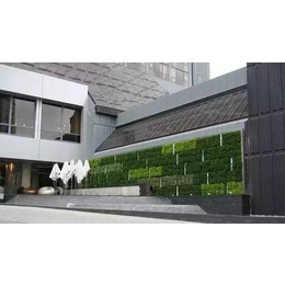灌云绿-博智环保-室外绿植墙公司