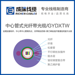 扬州成瑞线缆(图)-监控光缆价格-宿迁监控光缆
