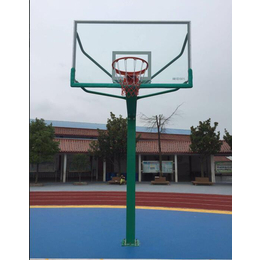 雄奥体育(图)-儿童篮球架-乐昌市篮球架