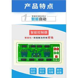 绿豆脱皮机一台多少钱-青州市迪生自动化设备