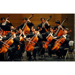 大提琴艺考-音妙艺术传播中心-南宁大提琴培训