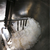 隆泽搅拌熬糖机(图)-生产牛扎糖炒糖机-衢州糖果熬糖锅缩略图1