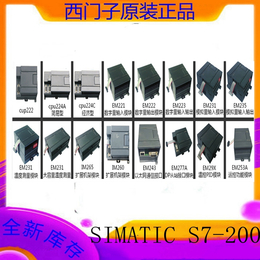 西门子PLC*控制器6ES72881SR200AA0