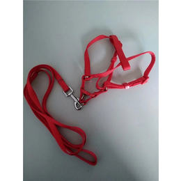 宠物织带厂家-长沙宠物织带-兴达织带不易变形(图)