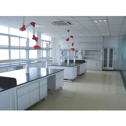 广州黄埔萝岗实验室*台 通风柜 广州锡海净化实验室家具制造